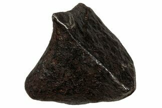 Gibeon Iron Meteorite ( g) - Namibia #334711