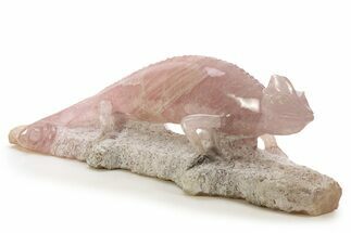 Exotic, Polished Rose Quartz Old World Chameleon #334780