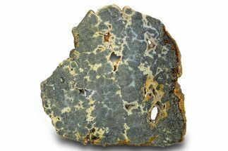 Colorful Polished Marcasite Agate Slab - Indonesia #334894