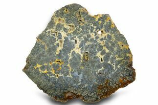 Colorful Polished Marcasite Agate Slab - Indonesia #334895