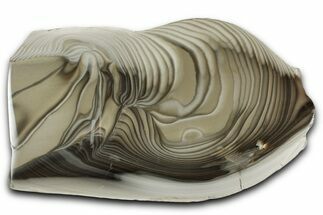 Polished Striped Flint Slab - Poland #334945