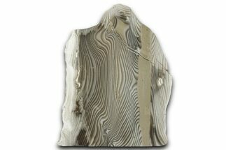 Polished Striped Flint Stand Up - Poland #334951