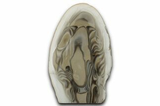 Polished Striped Flint Stand Up - Poland #334955