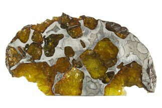 Polished Imilac Pallasite Meteorite ( g) Slice #334652