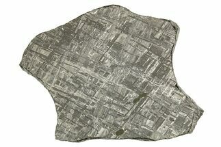 Etched Gibeon Iron Meteorite ( g) Slice - Namibia #334665