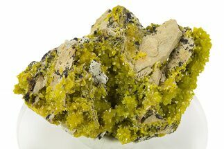Yellow-Green Pyromorphite Crystals on Matrix - Congo #335209