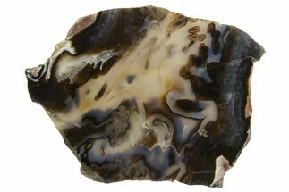 Polished Big Oak Springs Agate Slab - Oregon #335042