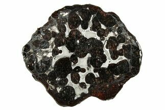 Sericho Pallasite Meteorite ( g) Slice - Kenya #335773