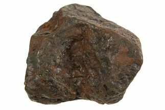 Canyon Diablo Iron Meteorite ( g) - Arizona #335949