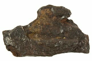 Canyon Diablo Iron Meteorite ( g) - Arizona #335978