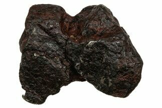 Canyon Diablo Iron Meteorite ( g) - Arizona #336046
