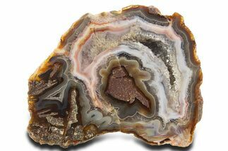 Polished Banded Fortification Agate Section - Turkey #336244
