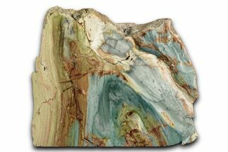 Free-Standing, Gary Green Jasper (Larsonite) Bog Wood - Oregon #334819