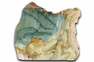 Free-Standing, Gary Green Jasper (Larsonite) Bog Wood - Oregon #334820