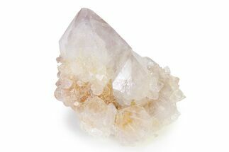 Lustrous Cactus Quartz Crystal Cluster - South Africa #336762