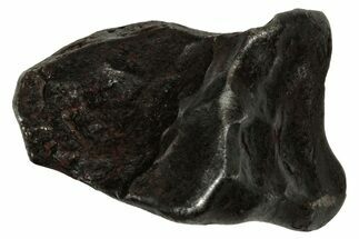 Fusion Crusted Sikhote-Alin Iron Meteorite ( g) - Russia #334535