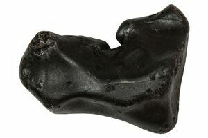 Sikhote-Alin Iron Meteorites For Sale - FossilEra.com