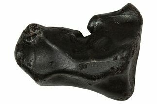 Fusion Crusted Sikhote-Alin Iron Meteorite ( g) - Russia #334560