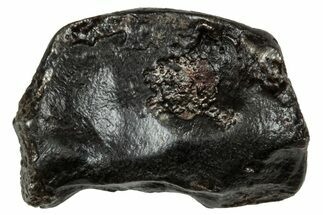 Fusion Crusted Sikhote-Alin Iron Meteorite ( g) - Russia #334569