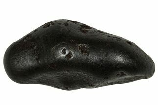 Fusion Crusted Sikhote-Alin Iron Meteorite ( g) - Russia #334576