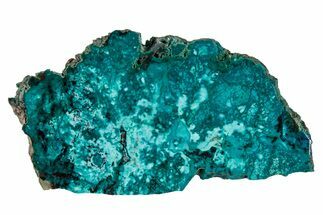 Vibrant Chrysocolla and Shattuckite Slab - Mexico #337039
