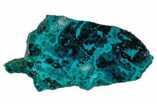 Vibrant Chrysocolla and Shattuckite Slab - Mexico #337040