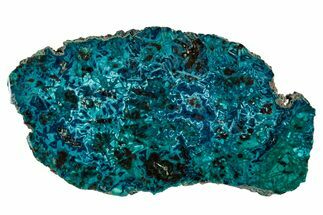 Vibrant Chrysocolla and Shattuckite Slab - Mexico #337043