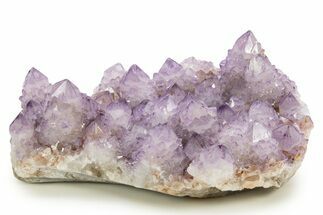 Spectacular Cactus Amethyst Crystal Cluster - South Africa #337111