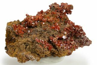 Fiery Red Wulfenite Crystal Cluster - Kuruktag Mountains, China #337088