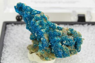 Vibrant Blue Veszelyite Crystal Cluster - China #337102