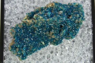 Vibrant Blue Veszelyite Crystal Cluster - China #337104