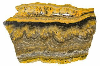 Polished Bumblebee Jasper Slab - Indonesia #336970