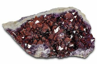 Thunder Bay Amethyst Cluster with Hematite - Top Quality! #337158