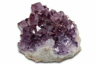 Thunder Bay Amethyst Cluster with Hematite #337178