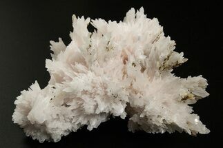 Pink Manganoan Calcite Crystal Cluster - Fluorescent! #337392