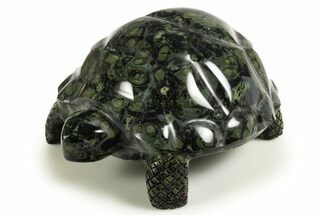 Polished Kambaba Jasper Tortoise - Madagascar #337476