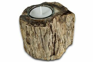 Polished Petrified Wood Candle Holder - Madagascar #337564
