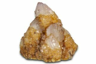 Sunshine Cactus Quartz/Amethyst Crystal Cluster - South Africa #337636