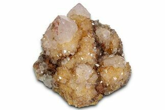Sunshine Cactus Quartz/Amethyst Crystal Cluster - South Africa #337638