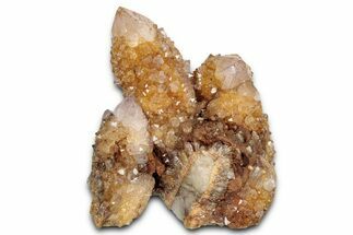 Sunshine Cactus Quartz/Amethyst Crystal Cluster - South Africa #337639