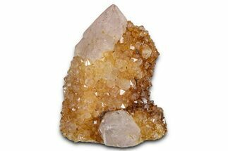Sunshine Cactus Quartz/Amethyst Crystal Cluster - South Africa #337650