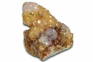 Sunshine Cactus Quartz/Amethyst Crystal Cluster - South Africa #337651
