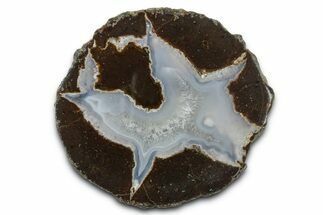 Colorful Polished Thunderegg Half - Nevada #337752
