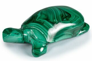 Flowery, Malachite Turtle Carving - DR Congo #337819