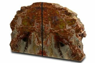 Tall Arizona Petrified Wood Bookends - Rainbow Colored #338273