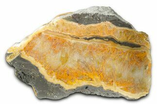 Polished Bumblebee Jasper Slab - Indonesia #338310