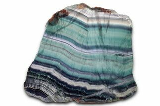 Colorful Polished Rainbow Fluorite Slab #338338