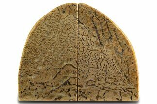Polished Graphic Feldspar Bookends - Madagascar #338362