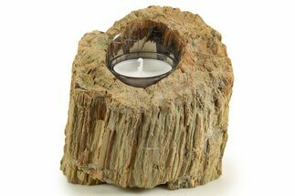 Polished Petrified Wood Candle Holder - Madagascar #338381