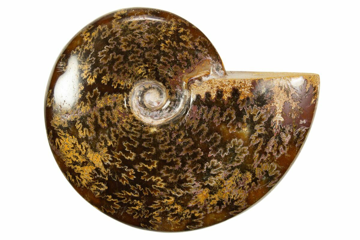 4.6